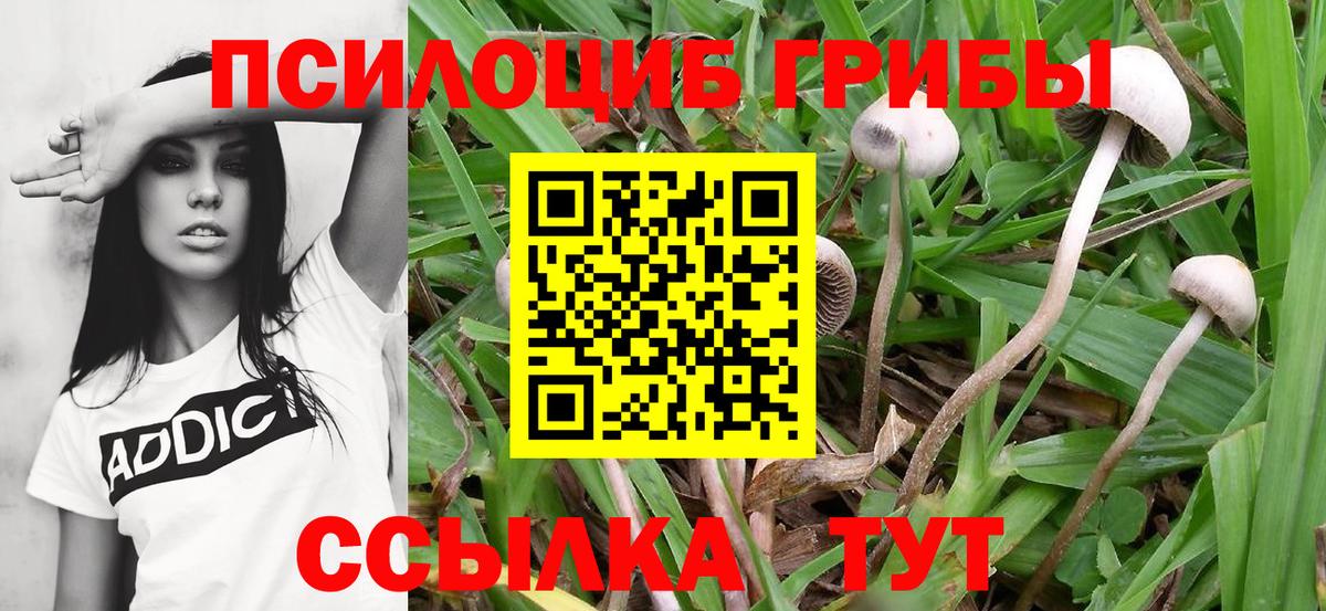 Галлюциногенные грибы мицелий Улан-Удэ