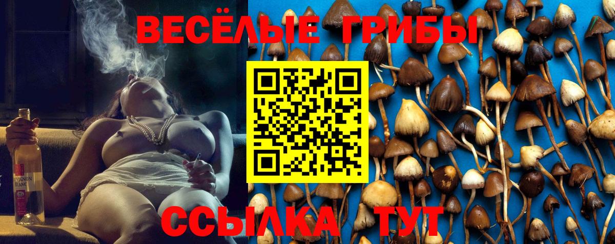 Псилоцибиновые грибы прущие грибы  дарнет шоп  Улан-Удэ  Вход с VPN 